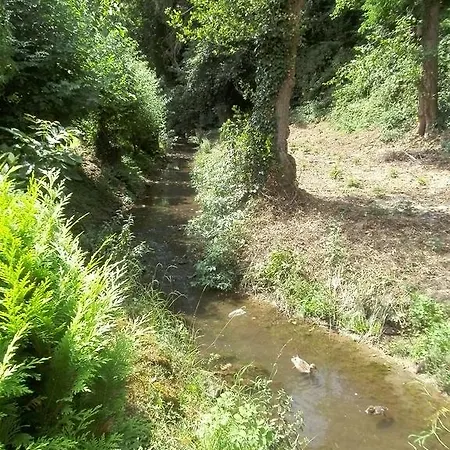 Waldfrieden Guest house *