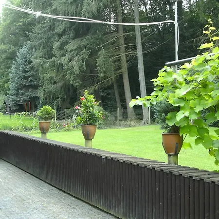 Guest house Waldfrieden *