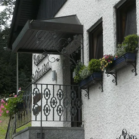 Waldfrieden Guest house Maring-Noviand