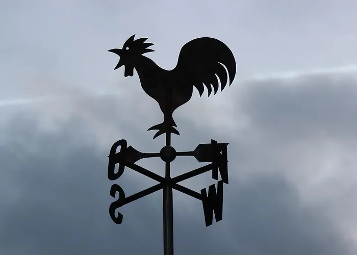 게스트하우스 Waldfrieden 매링노비안드