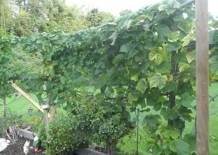 Waldfrieden 3* 매링노비안드