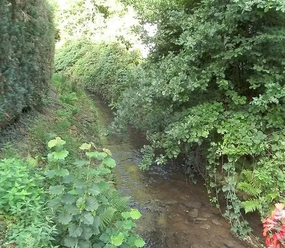 Waldfrieden 게스트하우스 매링노비안드