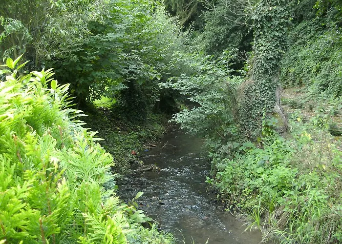 Waldfrieden 게스트하우스 매링노비안드